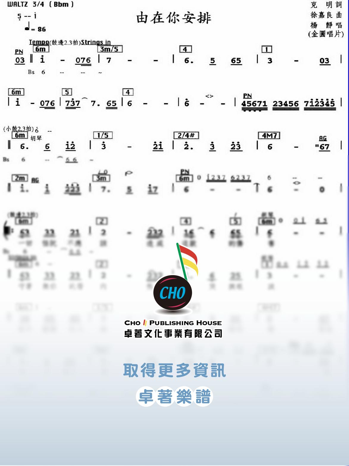 由在你安排